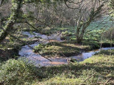 Terrains de loisirs bois etangs a vendre Pleyber-Christ 29410 Finistère 37739 m2  18000 euros