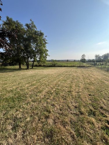 Maison a vendre Parçay-sur-Vienne 37220 Indre-et-Loire 77 m2 3 pièces 148400 euros
