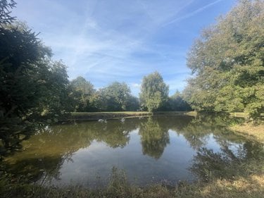 Terrains de loisirs bois etangs a vendre Lombron 72450 Sarthe 5800 m2  19800 euros