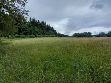 Maison a vendre Languidic 56440 Morbihan 60 m2 2 pièces 193100 euros