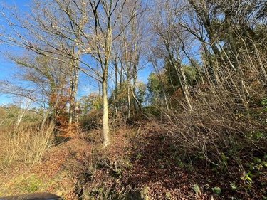 Terrains de loisirs bois etangs a vendre La Vespière Friardel 14290 Calvados 8471 m2  9971 euros