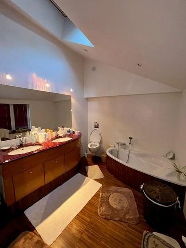 Viager maison Riom 63200 Puy-de-Dôme 320 m2 14 pièces 477750 euros