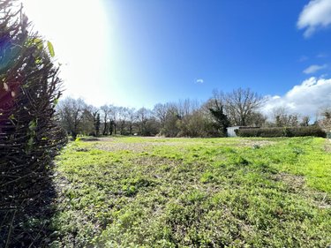 Terrains de loisirs bois etangs a vendre Guer 56380 Morbihan 2606 m2  4000 euros
