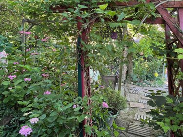 Maison a vendre Rignieux-le-Franc 01800 Ain 83 m2 3 pièces 215000 euros