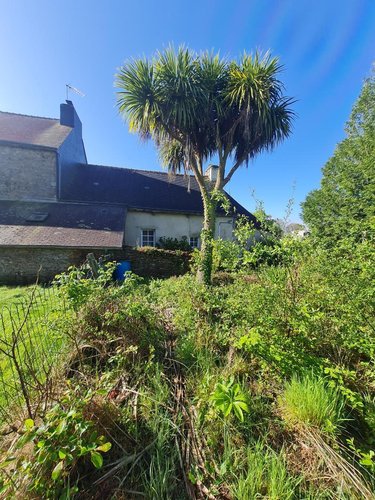 Maison a vendre Radenac 56500 Morbihan 67 m2 3 pièces 63360 euros
