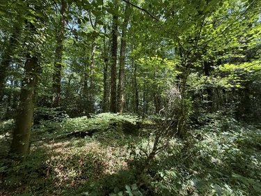 Divers a vendre Orbec 14290 Calvados 14560 m2  18970 euros