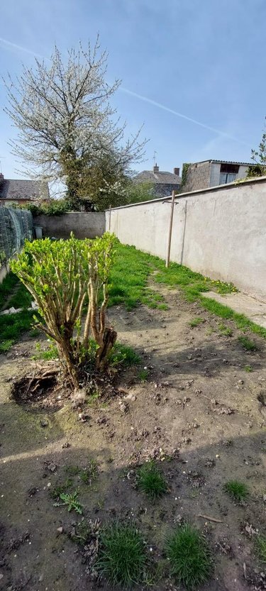 Location maison Caudry 59540 Nord 67 m2  690 euros