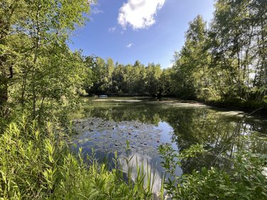 Terrains de loisirs bois etangs a vendre Étouvelles 02000 Aisne 14500 m2  71000 euros
