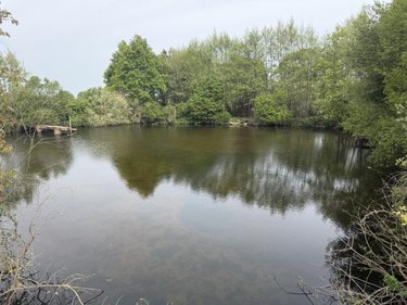 Terrains de loisirs bois etangs a vendre Saint-Martin-du-Bois 49500 Maine-et-Loire 5094 m2  48600 euros