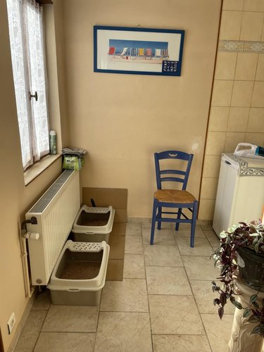 Maison a vendre Caudry 59540 Nord 149 m2 7 pièces 151960 euros