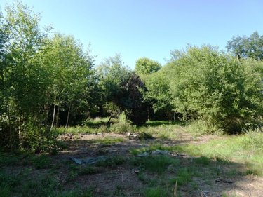 Terrains de loisirs bois etangs a vendre Cléguérec 56480 Morbihan 16640 m2  15990 euros