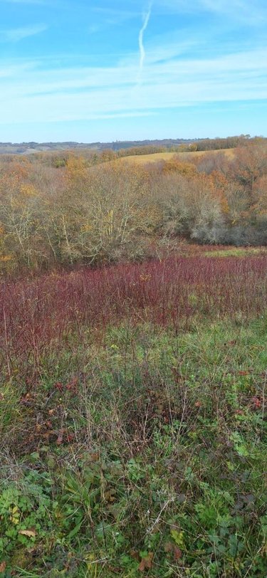 Terrains de loisirs bois etangs a vendre Peyrusse-Grande 32320 Gers 57740 m2  39500 euros