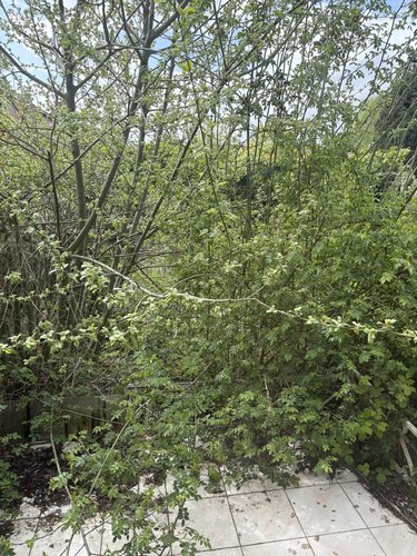 Maison a vendre Hénin-Beaumont 62110 Pas-de-Calais 82 m2 5 pièces 118000 euros
