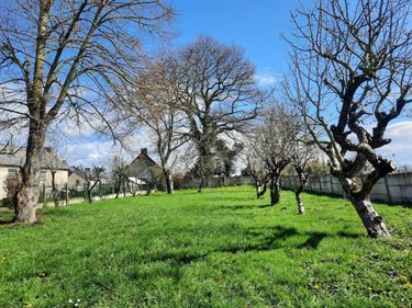 Immeuble a vendre Mohon 56490 Morbihan 130 m2  249780 euros