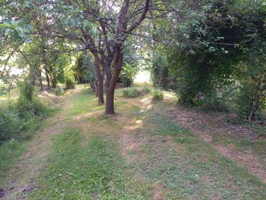 Terrains de loisirs bois etangs a vendre Parçay-sur-Vienne 37220 Indre-et-Loire 7760 m2  23600 euros