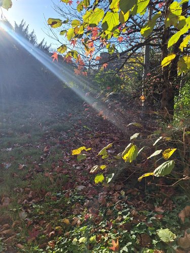 Maison a vendre Le Mans 72000 Sarthe 91 m2 4 pièces 215250 euros