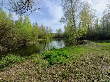 Terrains de loisirs bois etangs a vendre Amiens 80000 Somme 31288 m2  155000 euros