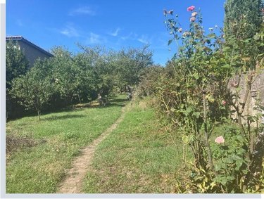 Terrain a batir a vendre Meximieux 01800 Ain 864 m2  135000 euros