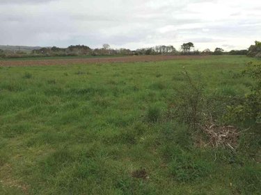 Terrains de loisirs bois etangs a vendre Plouhinec 29780 Finistère 1086 m2  42233 euros