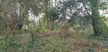 Terrain a batir a vendre Plougonvelin 29217 Finistère 1172 m2  360692 euros