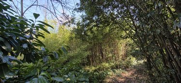 Terrain a batir a vendre Candé 49440 Maine-et-Loire 1636 m2  106500 euros
