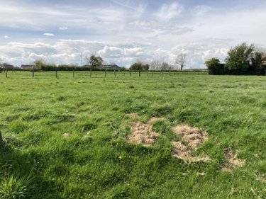 Terrain a batir a vendre Diéval 62460 Pas-de-Calais 853 m2  40546 euros
