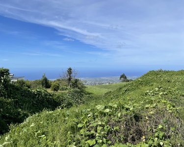 Terrain a batir a vendre Le Tampon 97430 Réunion 1640 m2  91450 euros