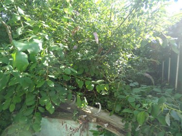 Maison a vendre Chocques 62920 Pas-de-Calais 75 m2  43500 euros