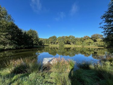 Terrains de loisirs bois etangs a vendre Saint-Christophe-du-Luat 53150 Mayenne 17420 m2  84320 euros