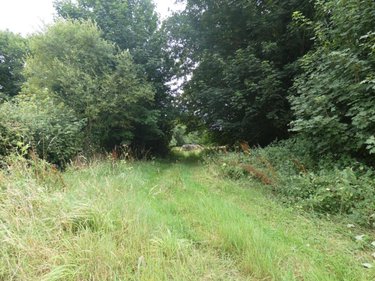 Terrain a batir a vendre Loqueffret 29530 Finistère 5920 m2  53000 euros