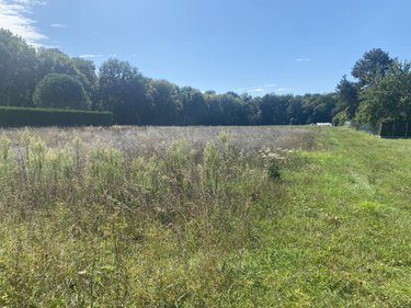 Terrain a batir a vendre Amilly 45200 Loiret 2262 m2  59400 euros
