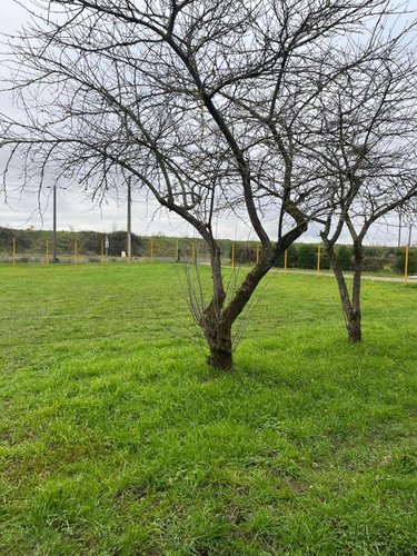 Fonds et murs commerciaux a vendre Parçay-sur-Vienne 37220 Indre-et-Loire 500 m2  106000 euros