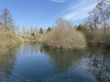Terrains de loisirs bois etangs a vendre Glisy 80440 Somme 15055 m2  110000 euros