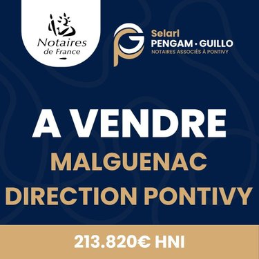 Maison a vendre Malguénac 56300 Morbihan 128 m2 5 pièces 213820 euros