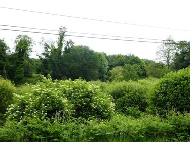 Terrains de loisirs bois etangs a vendre Plouray 56770 Morbihan 28430 m2  15990 euros