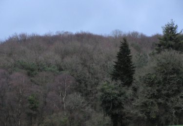 Terrains de loisirs bois etangs a vendre Moustoir-Ac 56500 Morbihan 77700 m2  43600 euros