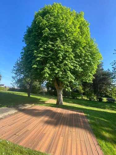 Maison a vendre Plouha 22580 Côtes-d'Armor 233 m2 10 pièces 476570 euros