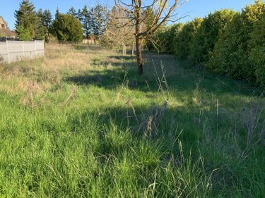 Maison a vendre Jouy-en-Pithiverais 45480 Loiret 122 m2 5 pièces 225000 euros