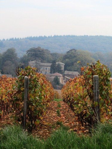 propriete a vendre Hurigny 71870 Saône-et-Loire 860 m2 10 pièces 1680000 euros