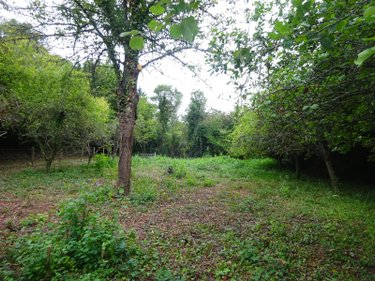 Divers a vendre Coudray-au-Perche 28330 Eure-et-Loir  6200 euros