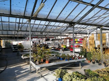 Fonds et murs commerciaux a vendre Puiseaux 45390 Loiret  176600 euros
