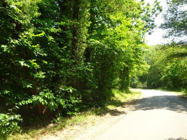 Terrains de loisirs bois etangs a vendre Argenvilliers 28480 Eure-et-Loir 4040 m2  6700 euros