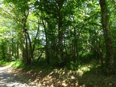 Terrains de loisirs bois etangs a vendre Argenvilliers 28480 Eure-et-Loir 4040 m2  6700 euros