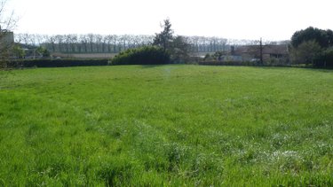 Terrain a batir a vendre Malause 82200 Tarn-et-Garonne 5391 m2  87000 euros