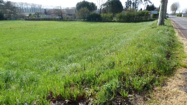 Terrain a batir a vendre Malause 82200 Tarn-et-Garonne 5391 m2  87000 euros