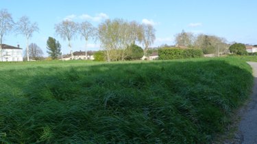 Terrain a batir a vendre Malause 82200 Tarn-et-Garonne 5391 m2  87000 euros