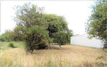 Terrain a batir a vendre Saint-Denis-d'Oléron 17650 Charente-Maritime 530 m2  157800 euros