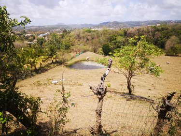 propriete a vendre Rivière-Salée 97215 Martinique 170 m2 4 pièces 480000 euros