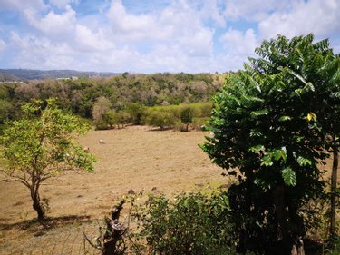 propriete a vendre Rivière-Salée 97215 Martinique 170 m2 4 pièces 480000 euros