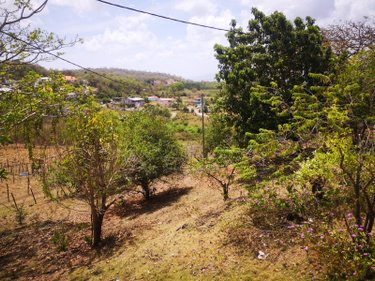 propriete a vendre Rivière-Salée 97215 Martinique 170 m2 4 pièces 480000 euros